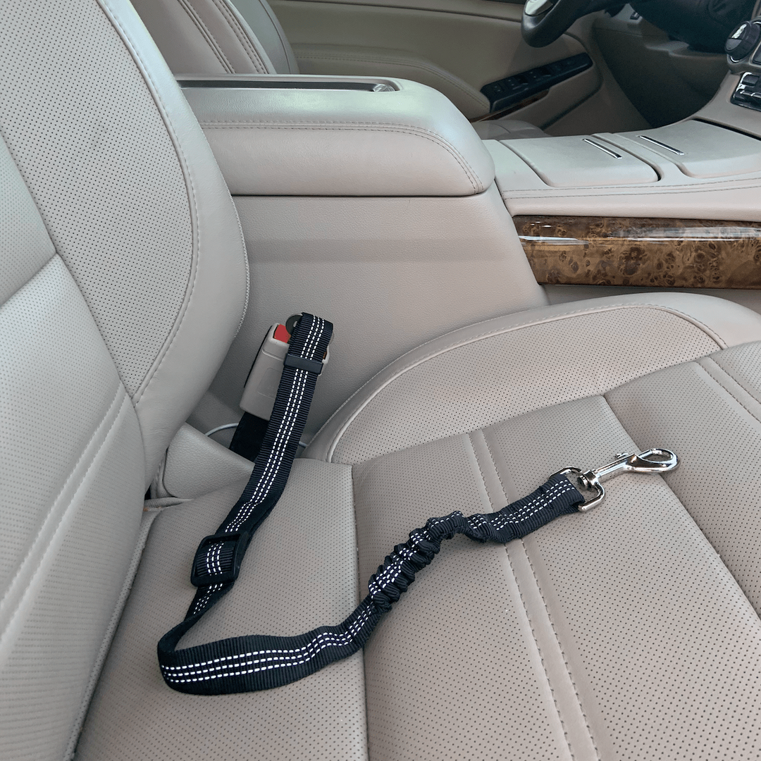 Car Elastic Safety Leash for Pets - Reflective Nylon Elastic Pet Seat Belt