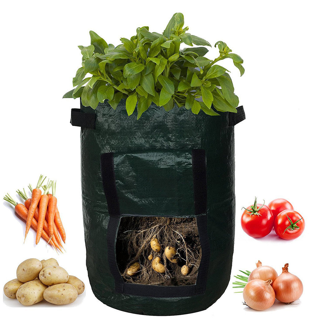 PE (polyethylene) cloth garden planting bag