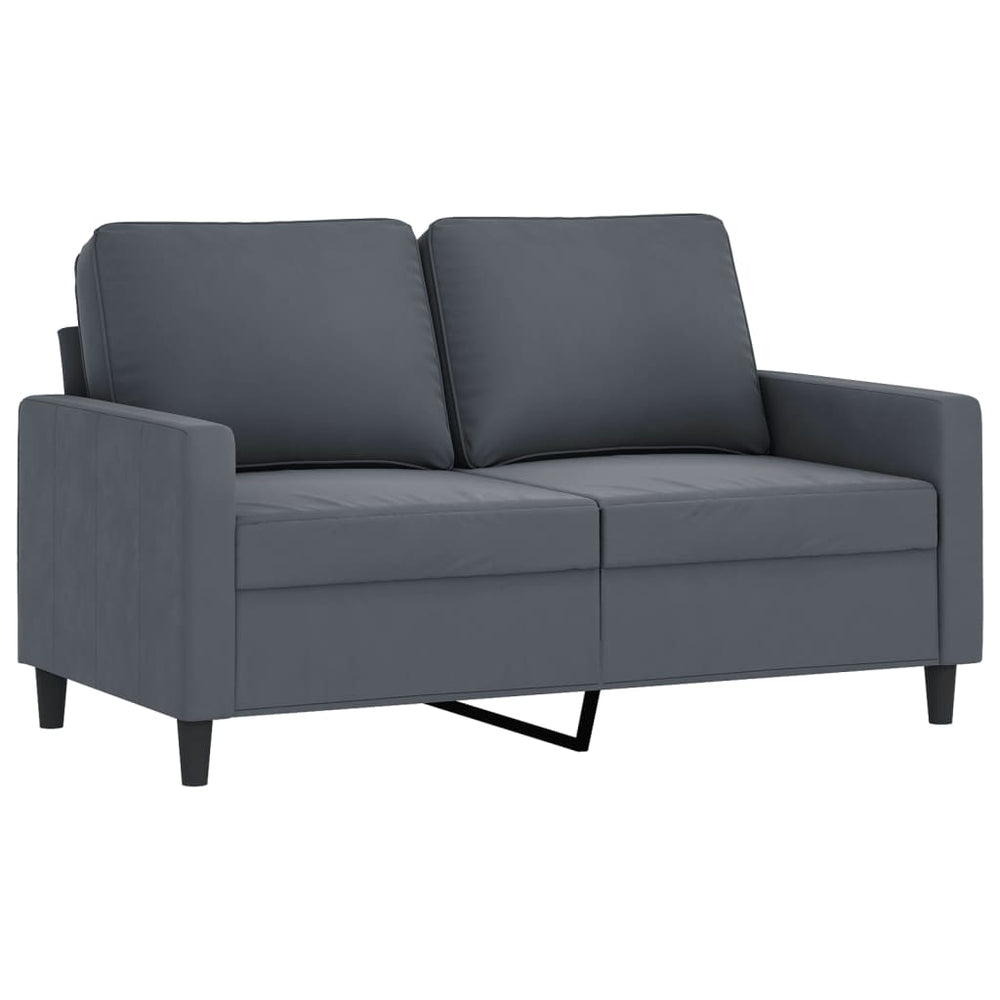 vidaXL 2 Piece Sofa Set with Cushions Dark Gray Velvet-1